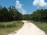 The view down my driveway